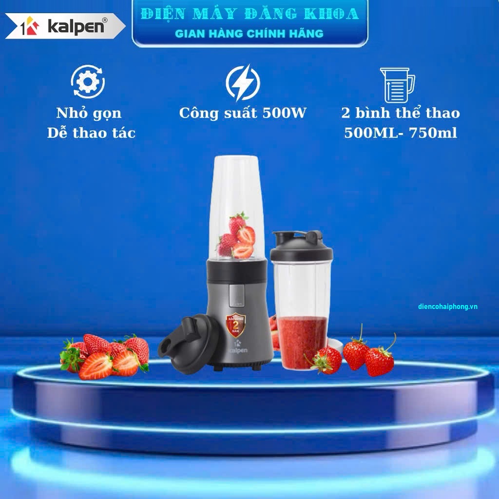 Máy xay đa năng 2 cối Kalpen B10 500W